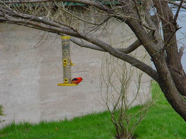 DSC00020
