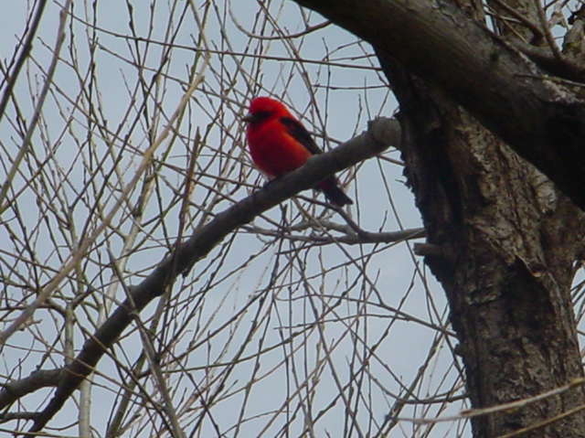 DSC00026