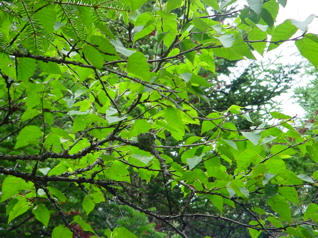 Dsc00160